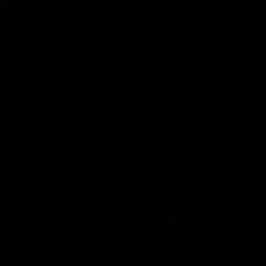 Meet your Posher, Kynadee